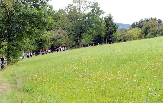 Kräuterwanderung Pliezhausen - 9