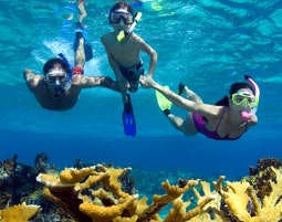 Tauchkurs Schnorchel in Graz