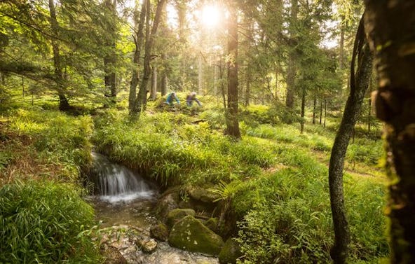 Mountainbike Grundkurs Viechtach