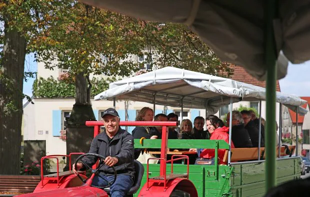 Weinseminar in Zeilitzheim (Rundfahrt & Verkostung) - 3