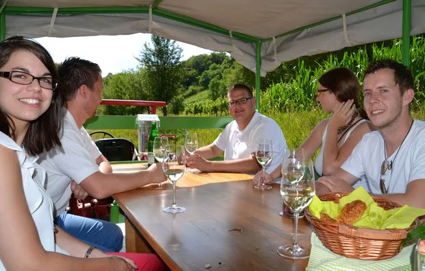 Weinseminar in Zeilitzheim (Rundfahrt & Verkostung) - 4
