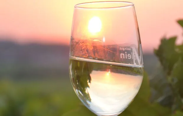 Weinseminar in Zeilitzheim (Rundfahrt & Verkostung) - 2