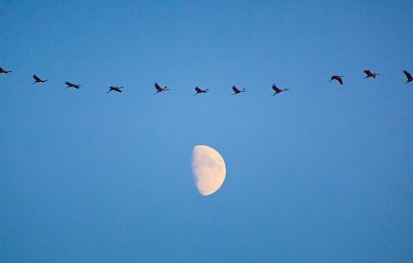 Fotografie-Workshop Erfurt