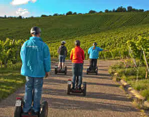 Segway-Tour Remstäler Weinberge - 7