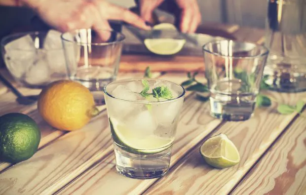 Gin Degustation Zürich - 6