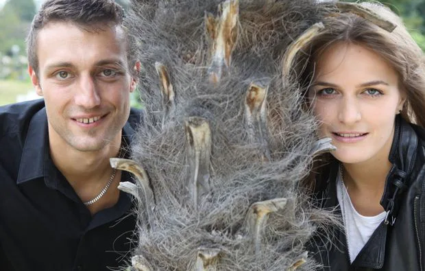 Paar-Fotoshooting Karlsruhe (2 Std.) - 3