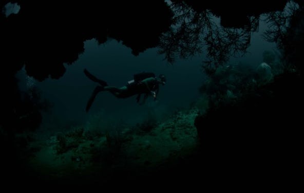 Nachttauchen München