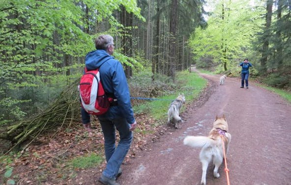 Husky Trekking Thanstein
