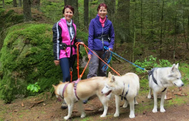 Husky Workshop Thanstein
