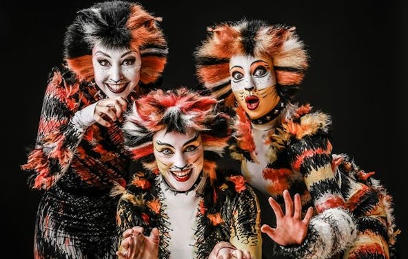 Musical Dinner Limbach Oberfrohna