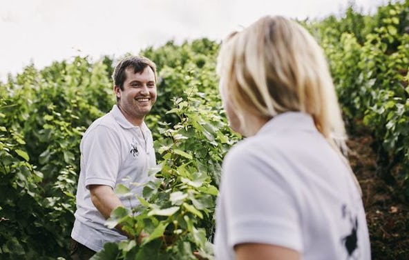 Weinverkostung in Guldental