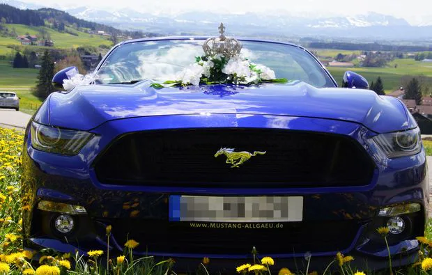 Mustang GT Cabrio fahren 1 Tag (Fr.-So.) Karlsruhe - 4