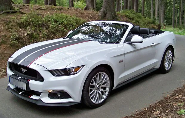 Mustang GT Cabrio fahren 1 Tag (Fr.-So.) Karlsruhe - 7