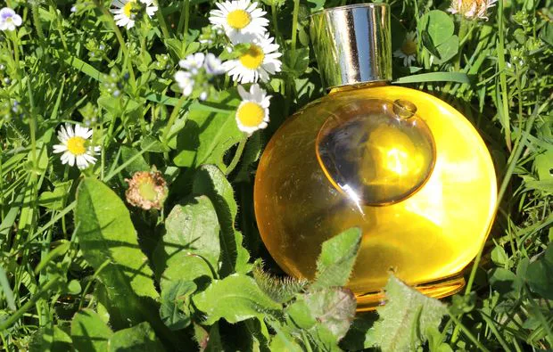 Naturkosmetik selber herstellen in Pliezhausen (Duschbad/Shampoo) - 5