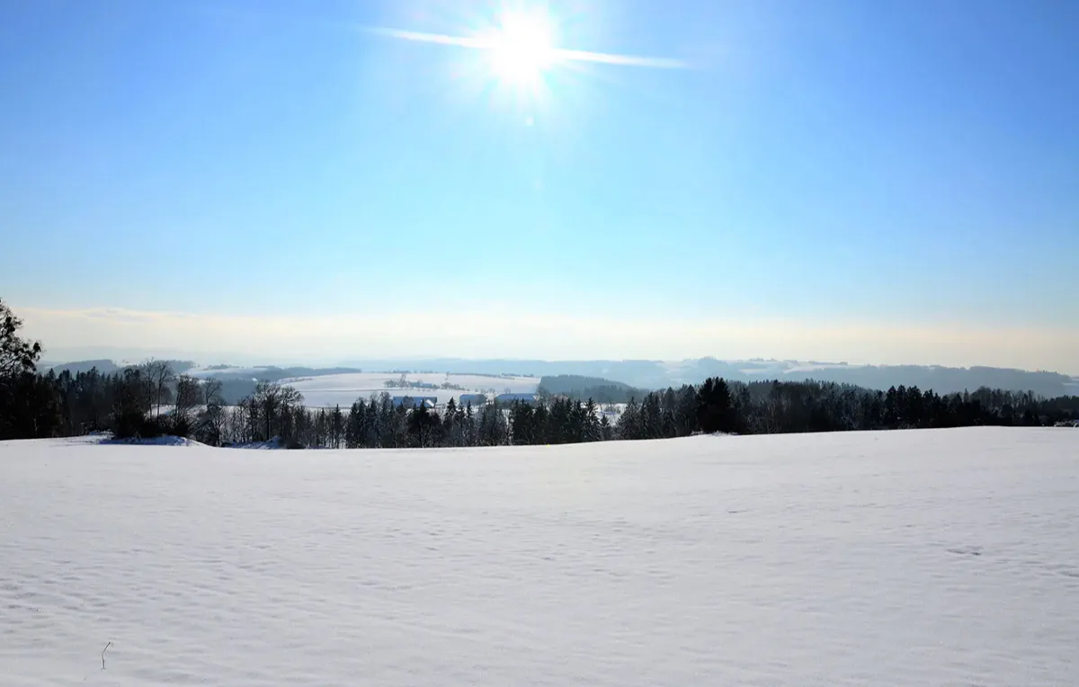 Alpaka Wanderung mit Glühwein Sankt Thomas am Blasenstein für 2 - 4