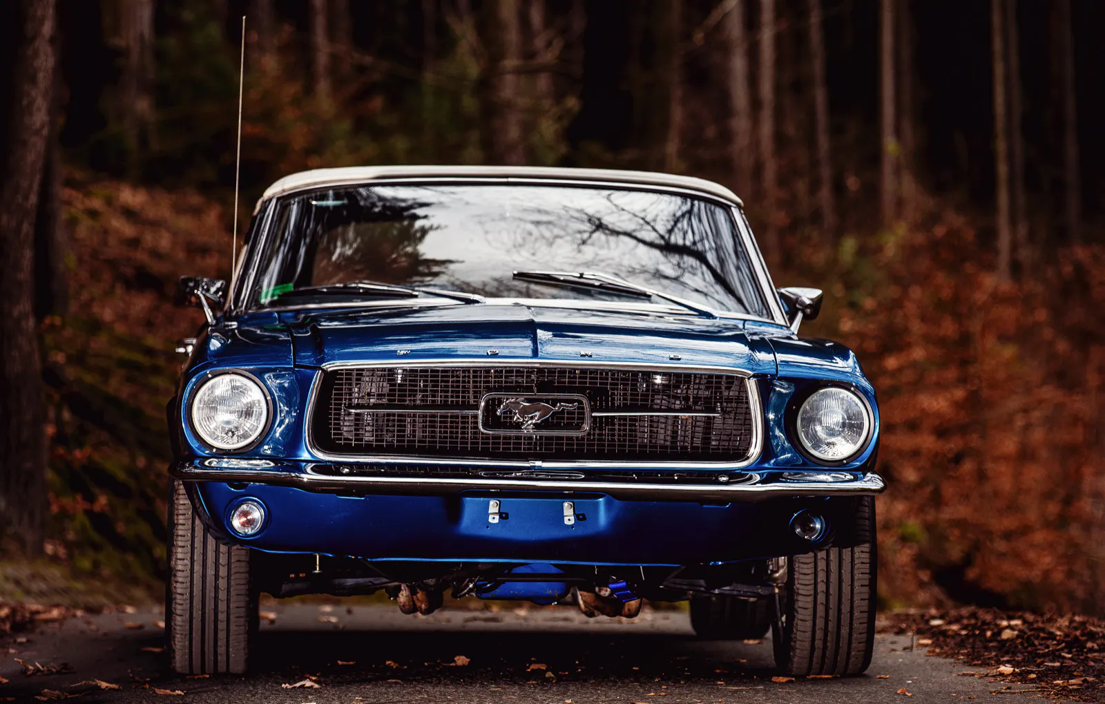 Mustang Oldtimer fahren Anzing (Wochenende) - 5