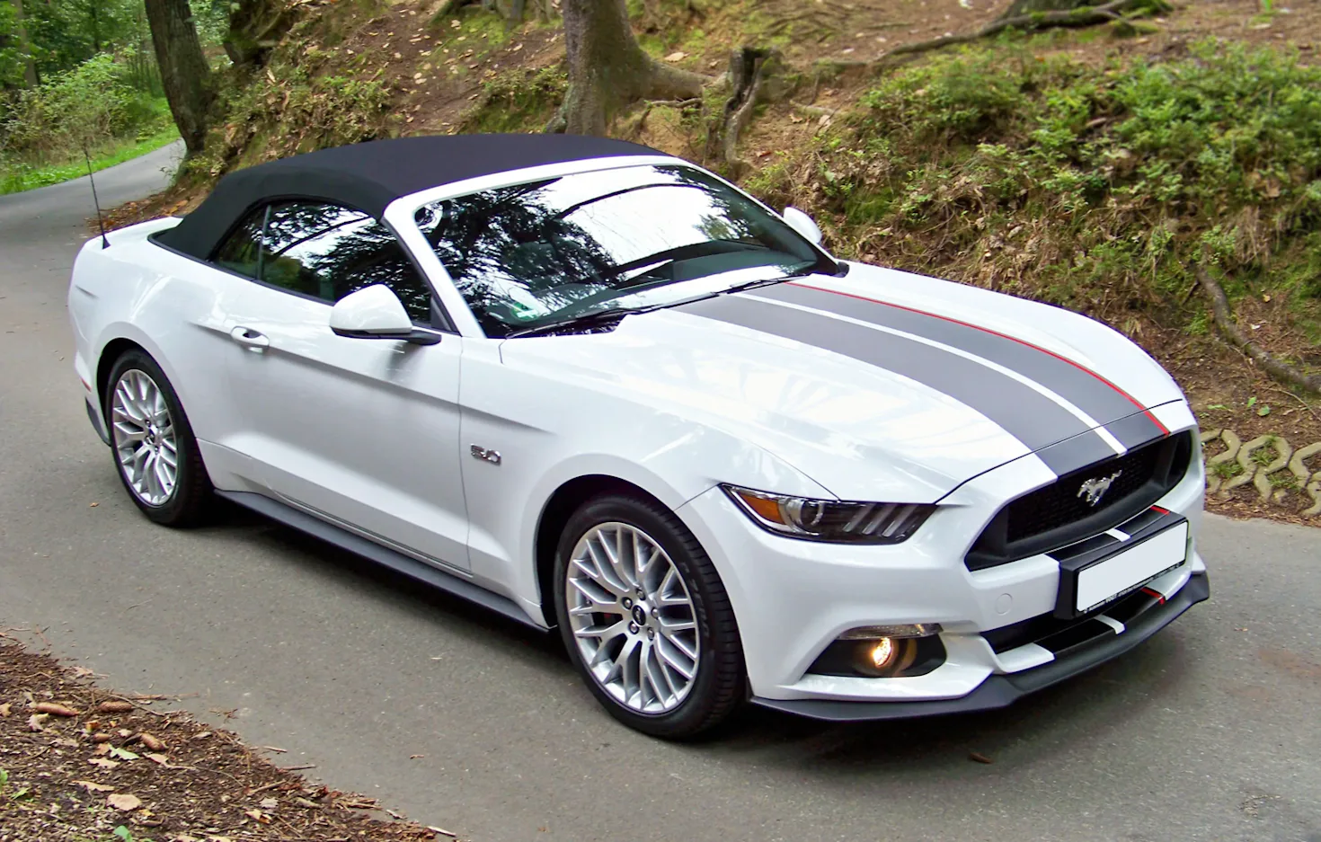 Mustang GT Cabrio fahren 1 Tag (Fr.-So.) Anzing bei München - 1