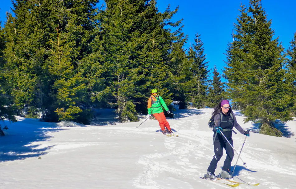 Einsteiger Skitour Neuberg an der Mürz - 5
