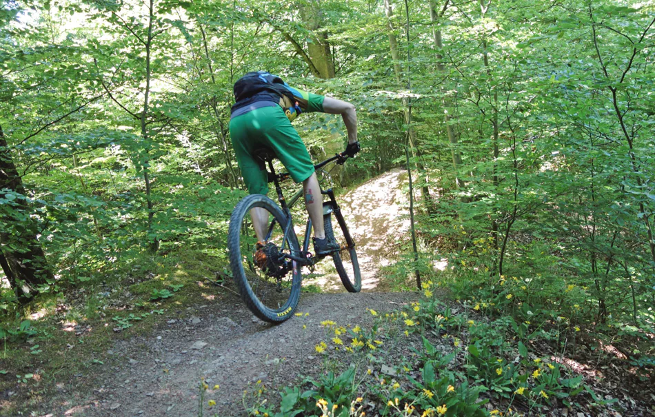 Mountainbike Kurs Brackenheim- Dürrenzimmern - 3