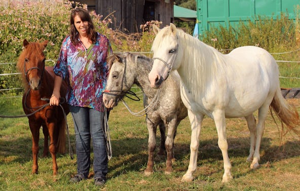 Pferde Abenteuer Dasing