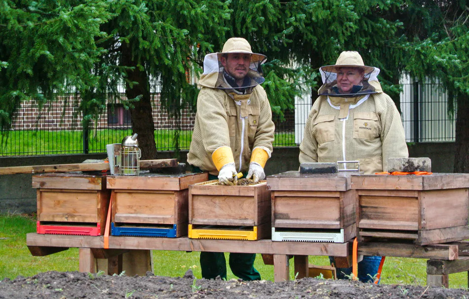 Imkerbesuch & Honigverkostung für 2 Wunstorf - 4