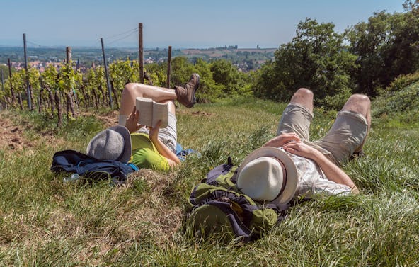 Genusswandern in Rheinhessen Stadecken- Elsheim für 2 (1 Nacht)