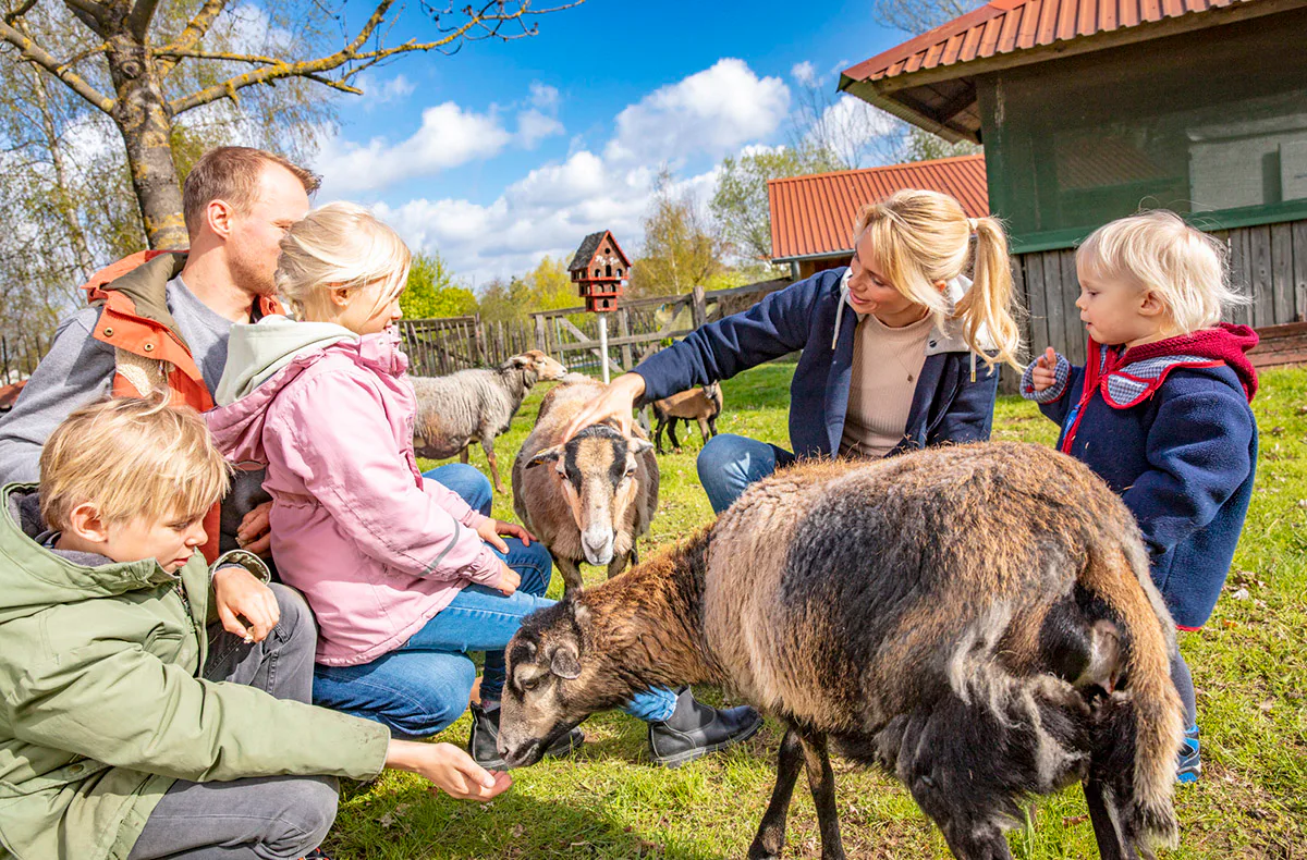 Familienurlaub am Fleesensee (2 Nächte) - 5