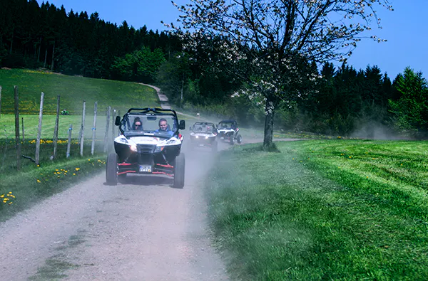 Side by Side Buggy fahren (2 Stunden) - 5