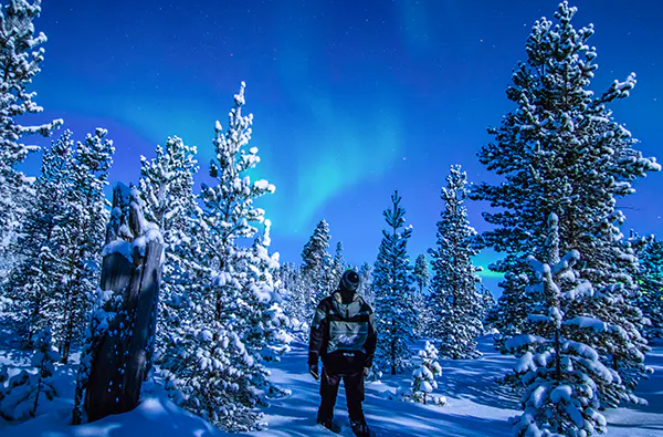Nordlichter Kurzurlaub Lappland für 2 (3 Nächte) - 7