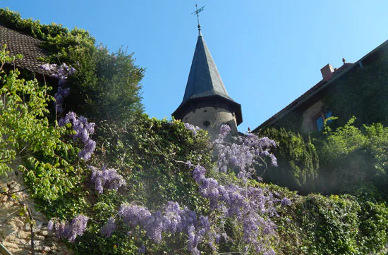 Schnaps selber machen in Schlüchtern-Elm - 5