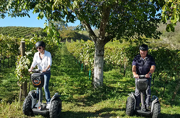 Segway Tour durch die Weingärten von Jois - 1