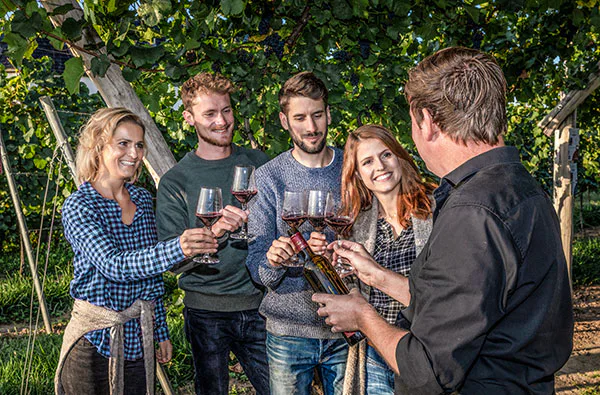 Weinbergwanderung & Weinprobe Raum Heidelberg für 2 - 1