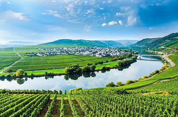 Weinbergwanderung mit Klettersteig an der Mosel - 1