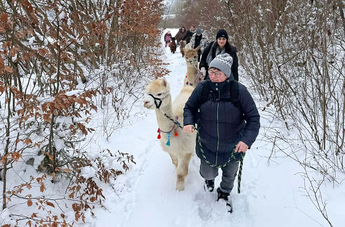 Alpaka Glühwein Wanderung Wilbich - 4