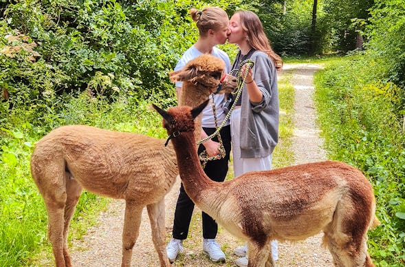 Alpaka Wanderung für 2 Jettingen-Scheppach