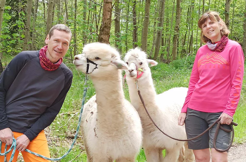 Alpaka Wanderung mit Picknick für 2 Waldenbuch