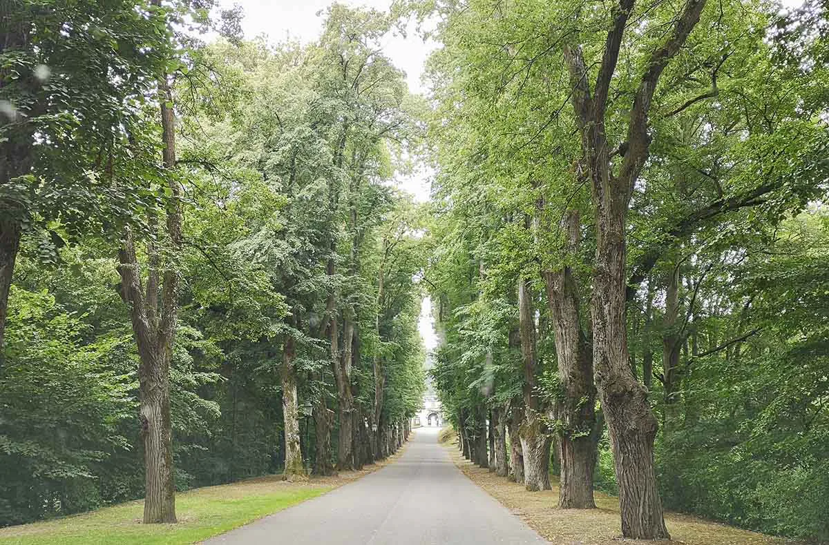 Ape Bergtour Geschriebenstein Oberwart (3,5 Std.) - 4