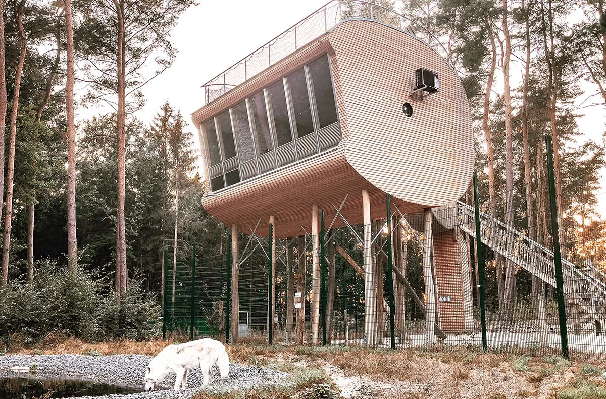 Außergewöhnlich Übernachten im Baumhaus für 2 (2 Nächte) in Dörverden - 4