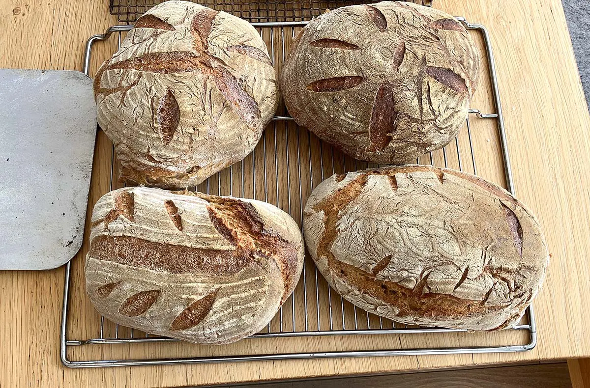 Brotbackkurs am Holzofen Kulz - 3