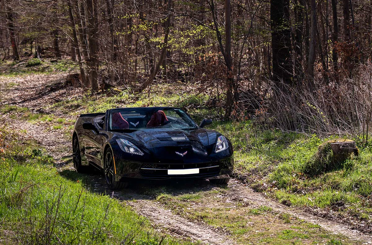 Corvette C7 Cabriolet mieten Gifhorn (Tagesfahrt) - 3