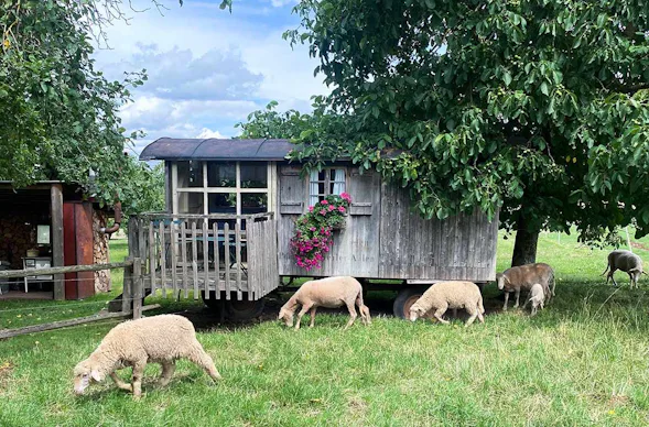 Familienurlaub im Bienenwagen (2 Nächte)