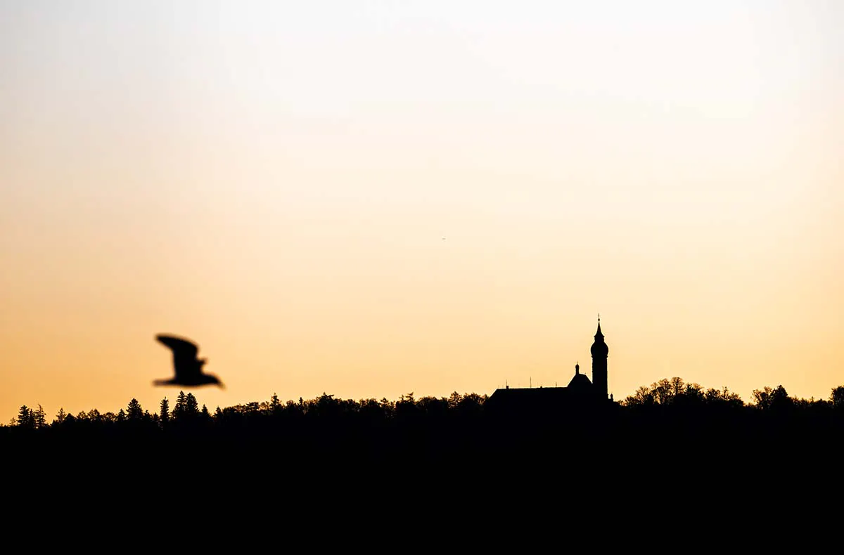 Fotografie Kurs Ammersee (Vögel und Natur) - 8
