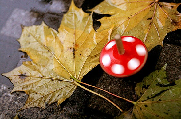 Fotokurs Berlin (Einzelcoaching)