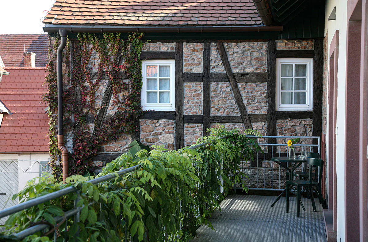 Französischer Kochkurs Weisenheim am Berg - 6