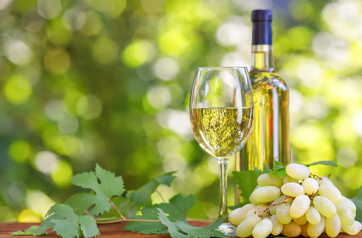 Geführte Weinwanderung Freyburg - 2