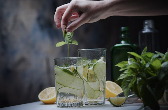 Gin Tasting Stuttgart Bad Cannstatt