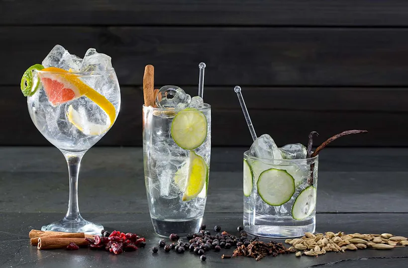 Gin Tasting in der Villa Mumm Eltville