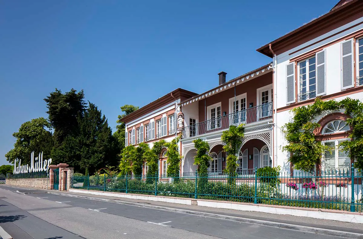Gin Tasting in der Villa Mumm Eltville - 6