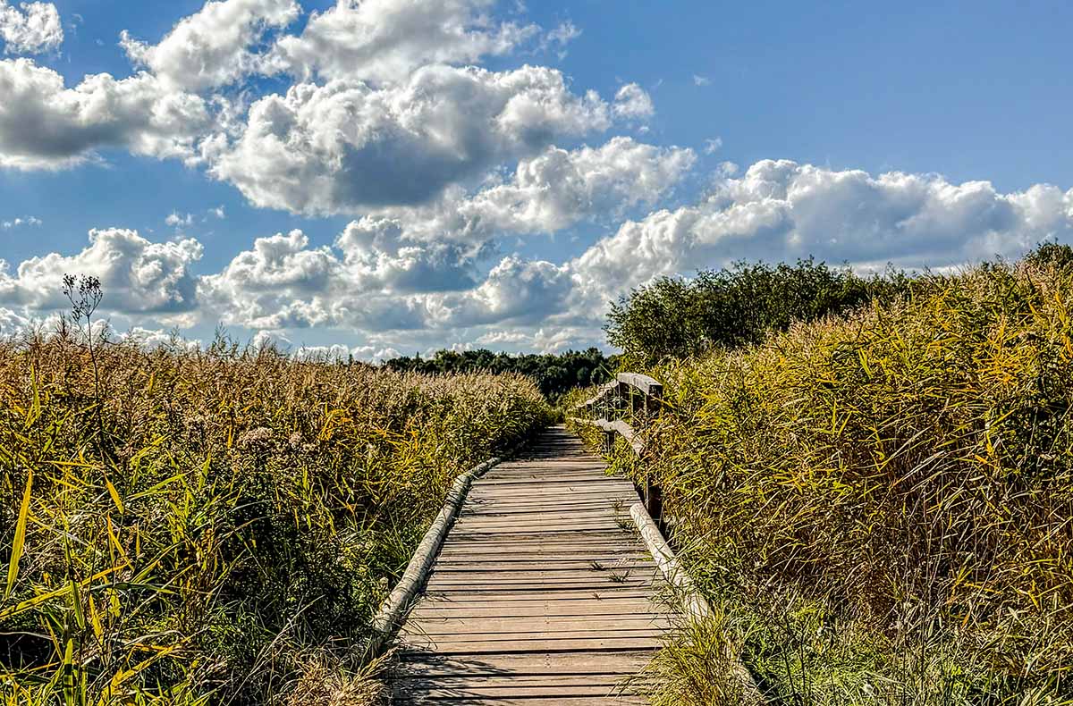 Guided Tour über die Priwallhalbinsel Lübeck
