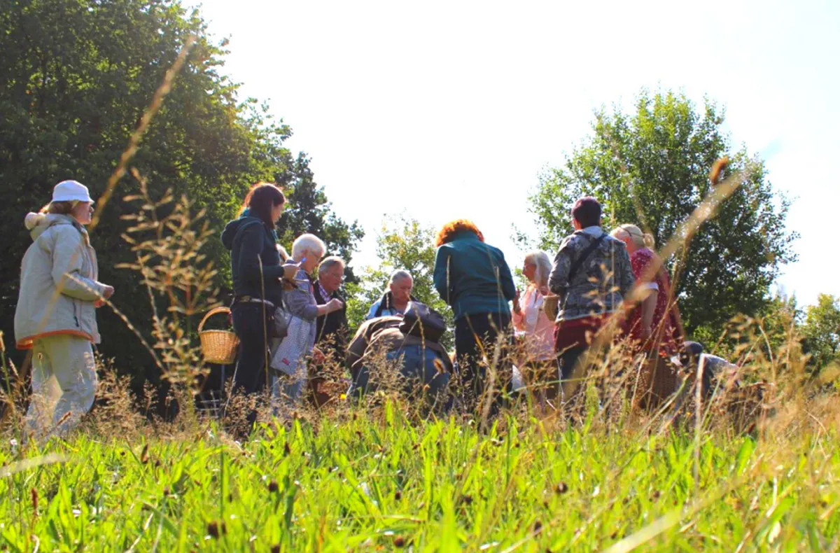 Heilkräuter Kurs Jüchen - 5